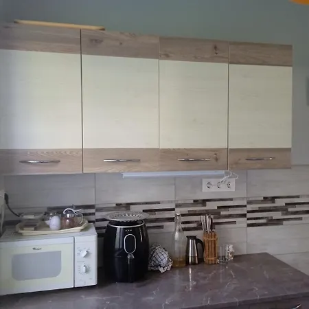 Hause With Jacuzzi Half Hour From Budapest Appartement Velence